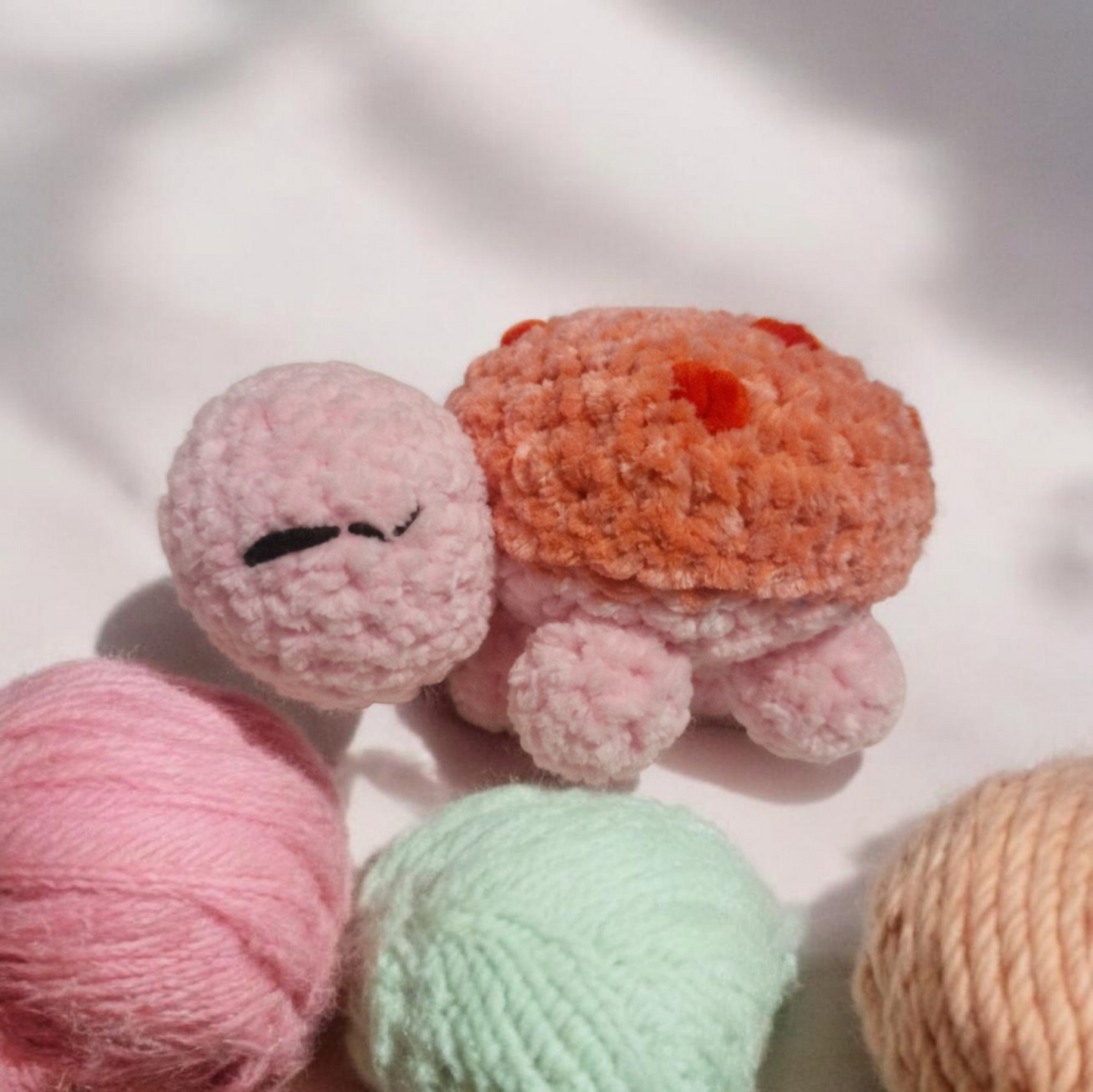 Tortue Cœur à Cœur❤️